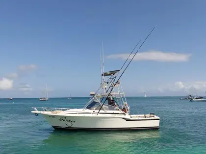 302460117_479204130881636_2720653147545592538_n